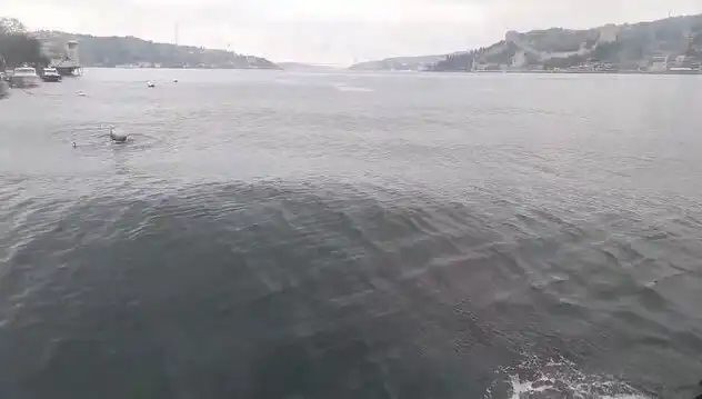 İstanbul Boğazı'nda Dalgalar Yükselirken, Su Sporları Tutkunları Heyecanla Bekliyor