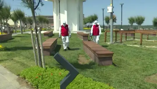 Kene Popülasyonu Patladı: Halka Açık Alanlarda İlaçlama Tahdidi