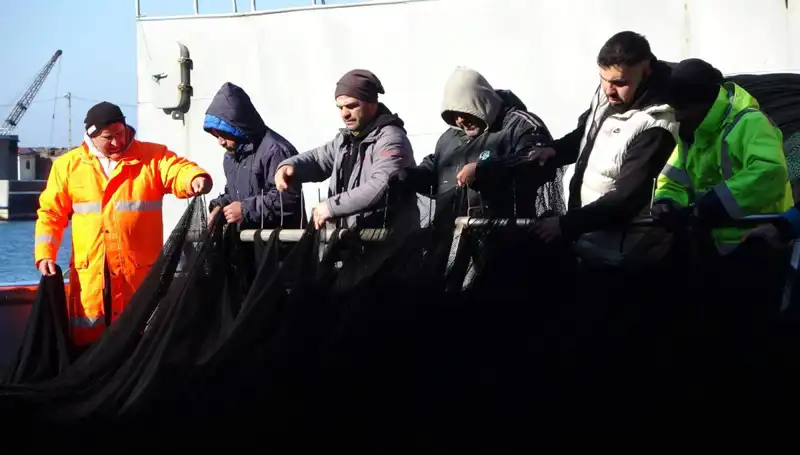 Denizlerde Hamsi Avı Kısıtlandı: Balıkçılar Yeni Sezona Hazır mı?