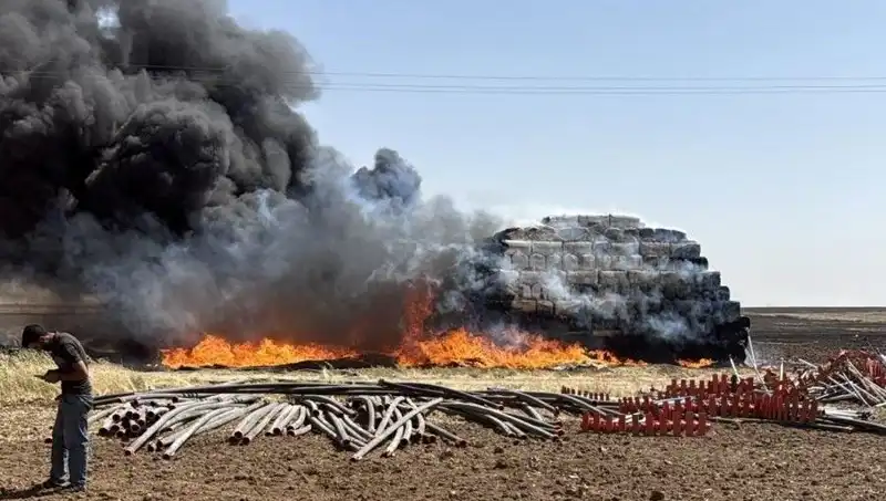 Mardin'de Anız Yangınları: Çiftçilerin Endişeleri ve Alınacak Önlemler