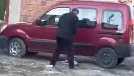 Sokak Ortasında Köpeğe Uygulanan Şiddet: Toplumun Tepkisi Neden Bu Kadar Büyük?