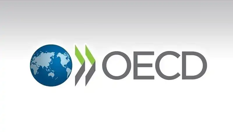 OECD, Türkiye Ekonomisi İçin 2023 Büyüme Tahminini Revize Etti