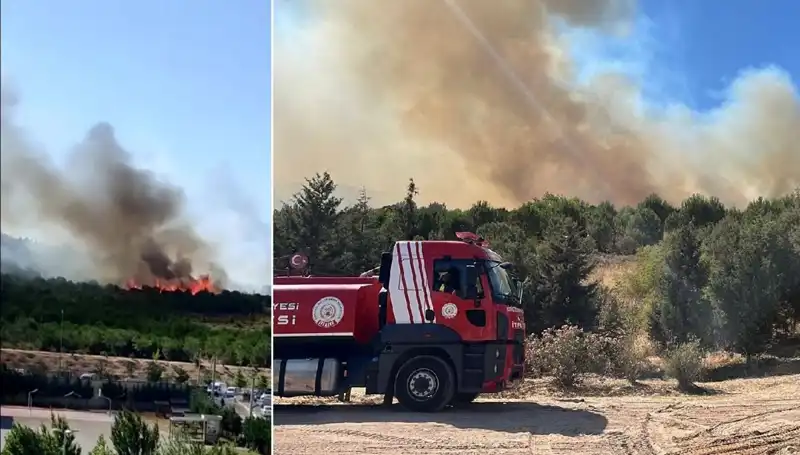 Gebze'de Dev Yangın: Orman Alanları Tehlikede, Ekipler Mücadele Ediyor