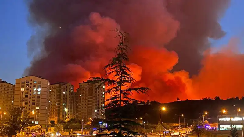Bursa’nın Gözde Yerlerinde Yangın Fırtınası: Neden ve Sonuçları