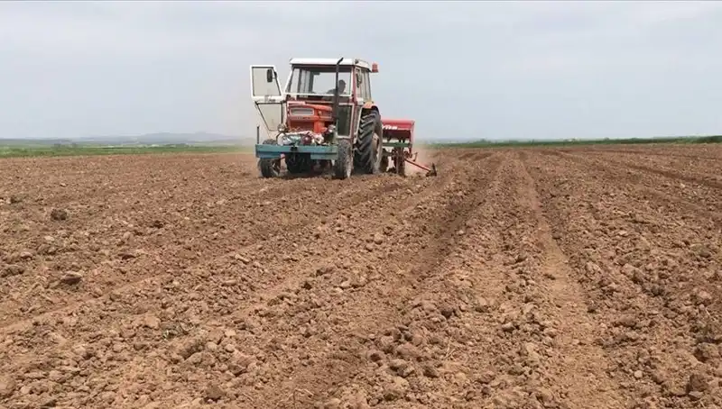 Mart Ayında Yağışlarda Tarihi Düşüş: Neler Oluyor?