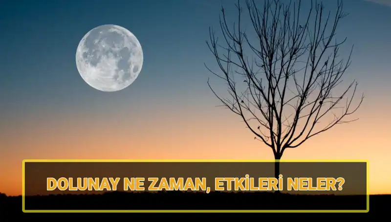 Terazi Dolunayı Geliyor: Bu Etkiler Sizi Değiştirebilir!