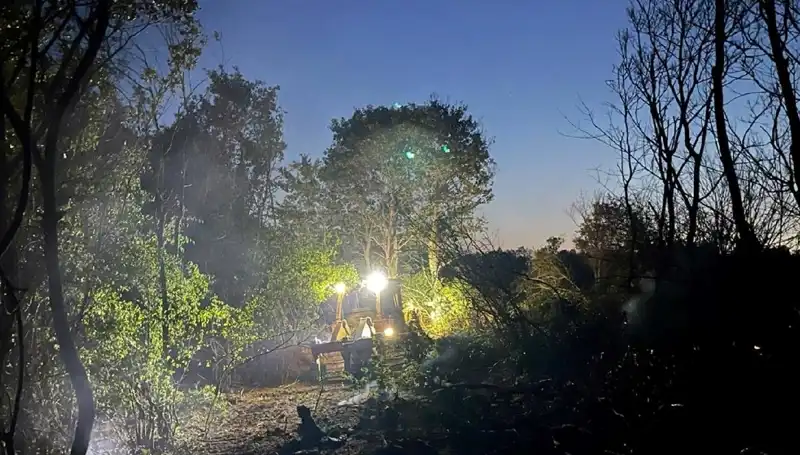 Edirne'deki Orman Yangını: Doğa Dostları Kumanya ile Geldi!