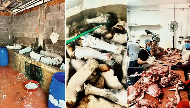 Adana'da Sağlık Raporu: Yüzlerce Kilo Paça Ele Geçirildi!