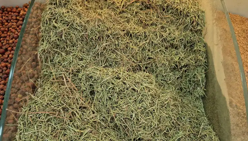 Yaz Aylarında Artan Internet Satışları: Tehlikeli Ürünler Üzerine Endişeler