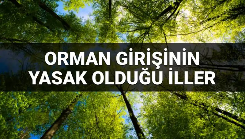 2025'te Ormanlara Girişin Yasaklandığı İller Açıklandı