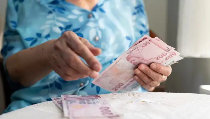 Emeklilere Yönelik Dolandırıcılık: Yeni Taktikler ve Önlemler