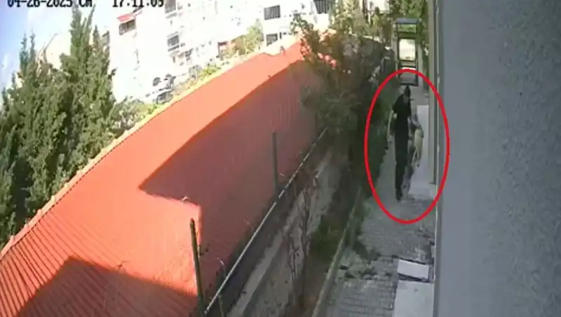 Ünlü Doktorun Evinin İçinde Şok Edici Köpek İhlalleri