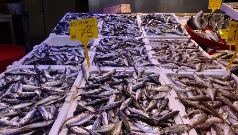 Balık Sezonu Kapanıyor: Balıkçıların ve Tüketicilerin Beklentileri Neler?