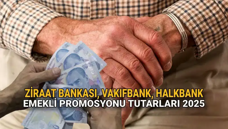 2025’te Emeklilere Kamu Bankalarından Yenilikçi Promosyon Teklifleri