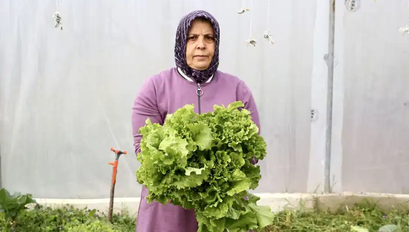 Emeklilikte Yeni Bir Başlangıç: Devlet Desteği ile Hayalini Gerçekleştirdi